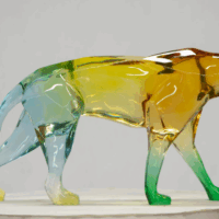 Aurora Cheetah