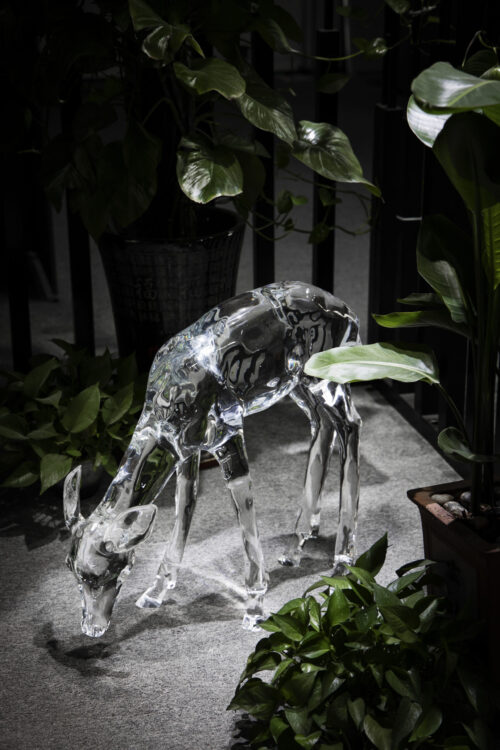 Realm of the Fawn - 图片 2