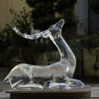 Deer of Serenity
