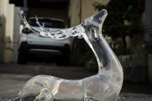Deer of Serenity - 图片 2