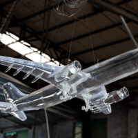 Wings of Transparency