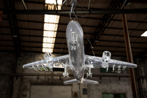 Wings of Transparency - 图片 2