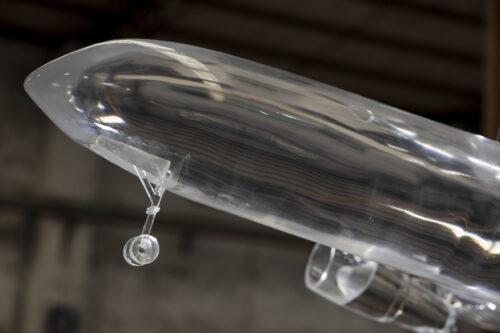 Wings of Transparency - 图片 3