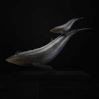 Ocean’s Embrace