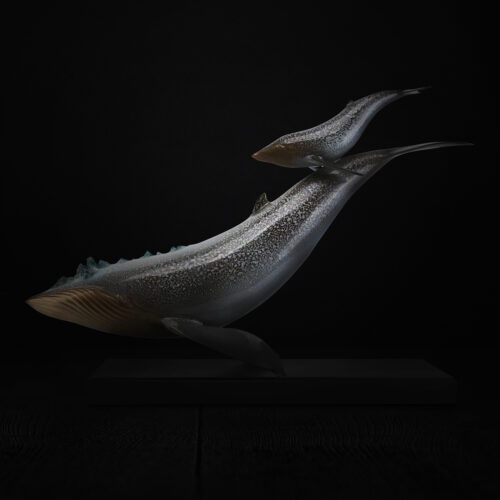 Ocean’s Embrace