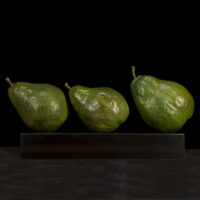 Verdant Pears