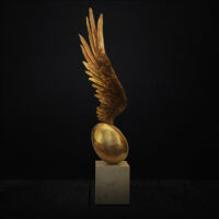 Wings of Hope