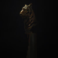 Spirit of the Tiger