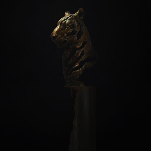 Spirit of the Tiger