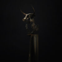 Spirit of the Bull
