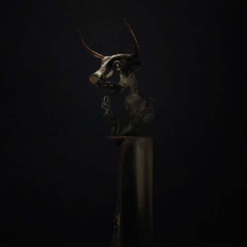 Spirit of the Bull