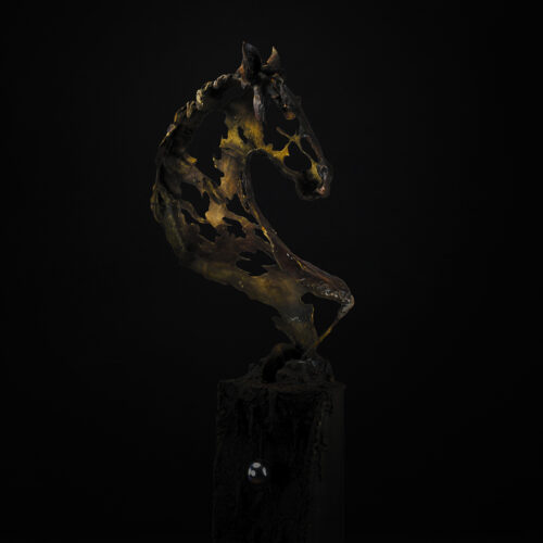 Spirit of the Steed