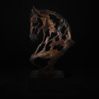 Spirit of the Steed