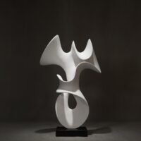 Realm of White Wings