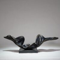 Unfolding Silent Wave