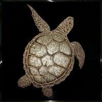 Radiant Tortoise Pendant